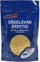 Rilak Rilak Spezielle Bastelfarben Gelbe 70gr Rilak Rilak Spezielle Bastelfarben Gelbe 70gr