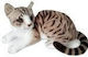 Dubi Plush Kitten 30 cm