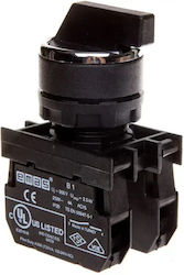 Emas Buton De Tip Industrial T0-B101S30