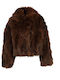 Short Women's Brown Fur