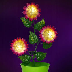 Progarden Solarleuchte Boden Blumentopf Progarden Solarleuchte Boden Blumentopf