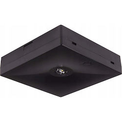 Intelight Сигнална Светлина LED 13.3x3.6x13.3см. Intelight Сигнална Светлина LED 13.3x3.6x13.3см.