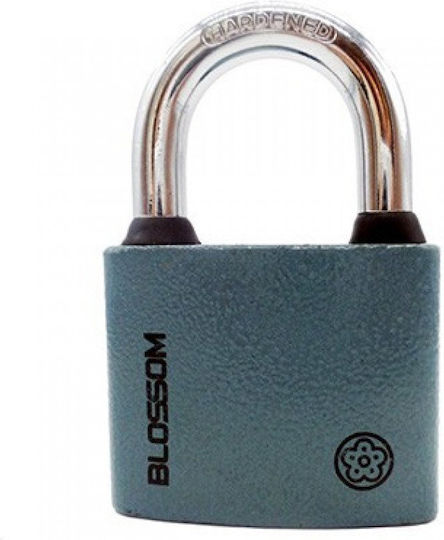 Blossom Steel Padlock Brass With Key 38mm Grey