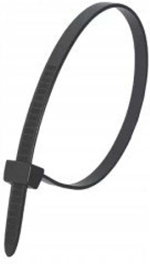 Dedra Plastik Kabelbinder 300mmx4.8mm in Schwarze Farbe (100Stück)