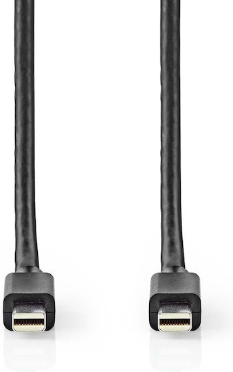 Nedis DisplayPort-Kabel männlich - Mini-DisplayPort männlich 2m Schwarz