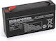 Europower UPS-Batterie mit Gewicht 1.2Ah und Spannung 6V