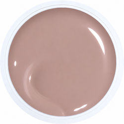 Alezori Builder Gel Νυχιών Honey