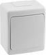 PAWBOL Waterproof Recessed Wall Switch One-Way with Frame White