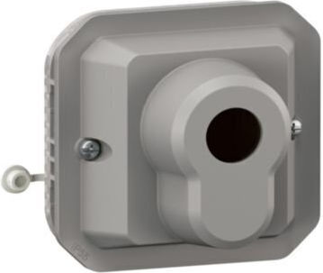 Legrand Plexo Vertiefter Mechanismus Rotierenden Schalter Mittlerer