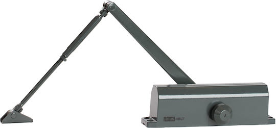 LG Türschließer Silber