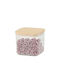 Caseta Cereale Cu Capac Plastic Transparent 500ml