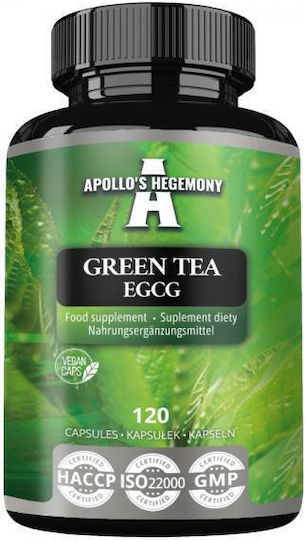 Apollo's Hegemony Grüner Tee EGCG 120 Kapseln
