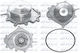 Dolz Water Pump M251