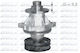 Dolz Water Pump B214