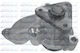 Dolz Water Pump H224