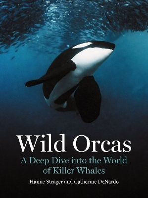 Wild Orcas: A Deep Dive Into The World Of Killer Whales Catherine Denardo Princeton University Press