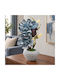Keskor 22301-3 Dekorative künstliche Blumen & Pflanzen Πρωτέας Höhe 18x45 aus Blauen Grauen Keramik Kaspó