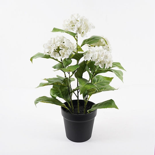 Dekorative Topfpflanze Hortensie Inart Weiß Φ35x50 Εκ