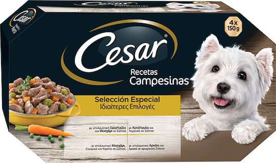 Cesar Hrana Umedă Pentru Câini Cu Curcan, Pui, Vițel, Miel Și Carne 4x150gr