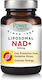 Power Health Liposomal NAD+ 300mg Besonderes Nahrungsergänzungsmittel 30 Kapseln