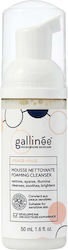 Gallinee Microbiome Hautpflege Prebiotics & Postbiotics Gesichts- und Augenreinigungsschaum 50ml Gallinee Microbiome Hautpflege Prebiotics & Postbiotics Gesichts- und Augenreinigungsschaum 50ml