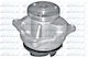 Dolz Water Pump F141