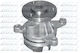 Dolz Water Pump F150
