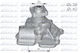 Dolz Water Pump F114
