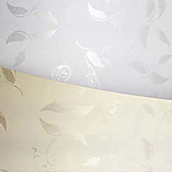 Argo Printing Paper A4 100gr/m² 50 Sheets Beige Argo Printing Paper A4 100gr/m² 50 Sheets Beige