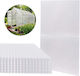 25 Polycarbonatplatten 6ft X 6ft Gewächshaus