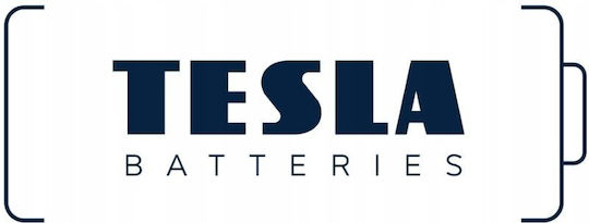 Tesla Batteries Αλκαλικές Μπαταρίες C 1.5V 2τμχ