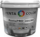 Pentacolor Pentapro Ceiling 10lt Λευκό