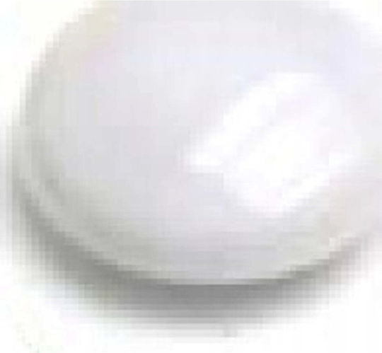 Argo Magnets 15mm Wf 607371 White 10 Pcs