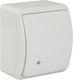 Elektro Plast Waterproof Recessed Wall Switch with Frame Intermediate White