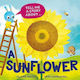Erzähl Mir Eine Geschichte Über Eine Sonnenblume Claire Watts