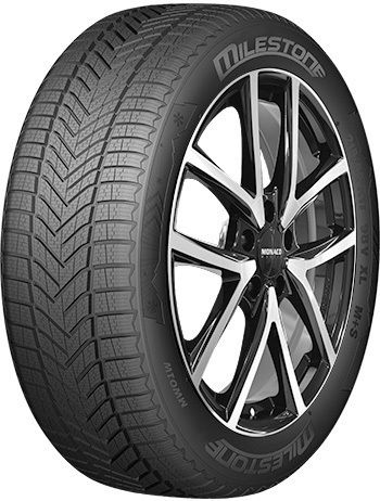 195/55R16 91HH XL Anvelopă Auto de Iarnă