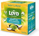 Loyd Taste World Green Tea Matcha Pineapple & Coconut 20×1,5 G