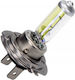 Maxgear Autolampe H7 Halogen 12 V 55 W