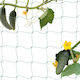 Relaxdays Plant Support Net 200 X 750 Cm Green