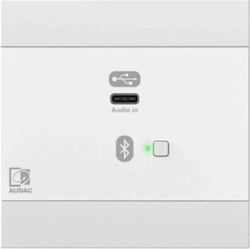 Audac Nwp400/w Netzwerk-Audioeingangspanel USB Typ-C + 3,5-mm-Klinke 4 Kanäle Weiße Version