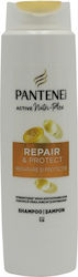 Pantene Protect Rebuilding/Nourishing & Shine S...