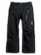 Burton Ak Cyclic Gore-Tex 2L 3076710A04 Pantaloni de Schi și Snowboard pentru Bărbați Negri