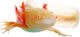 Axolotl Ambystoma Mexicanum 7–8 cm