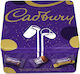 Cadbury Dairy Milk Milk Chocolate Pieces 300gr