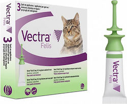 Ceva Vitamina 600gr Ceva Vitamina 600gr