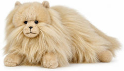 Beppe Plush Toys Γατάκι 35 εκ. Beppe Plush Toys Γατάκι 35 εκ.