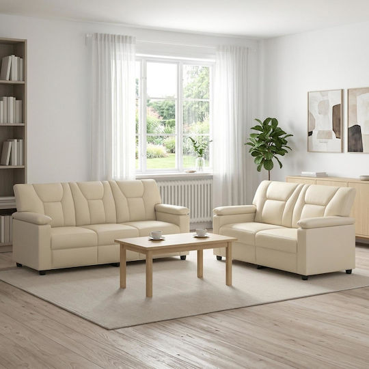 Wohnzimmermöbel-Set 2-Sitzer & Sessel