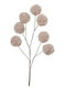 Decoris Ramură Decorativă de Crăciun, Lungime 69 cm, Bej