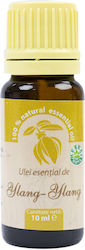 PNI Ylang-ylang Αιθέριο Έλαιο Ylang-ylang 10ml