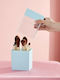 Cutie de Organizare pentru Cosmetice cu Separatoare Albastră 24.5x10.8x8.3cm.